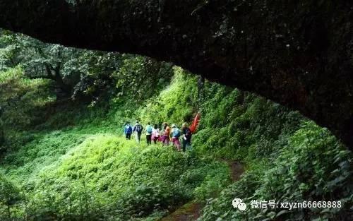 把警务室“搬”进沃柑园