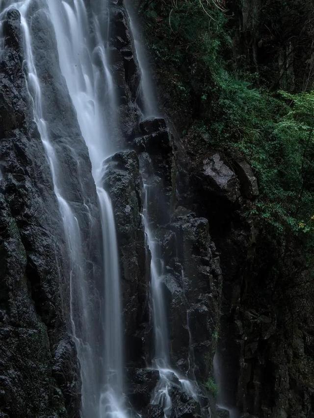 泡弹学院